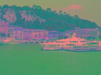 IMGP2670 edited (Medium)